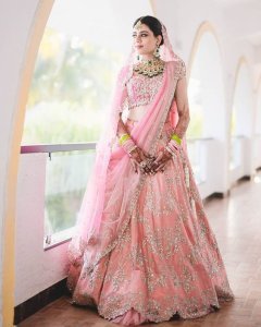 Sliver embroidered lehenga